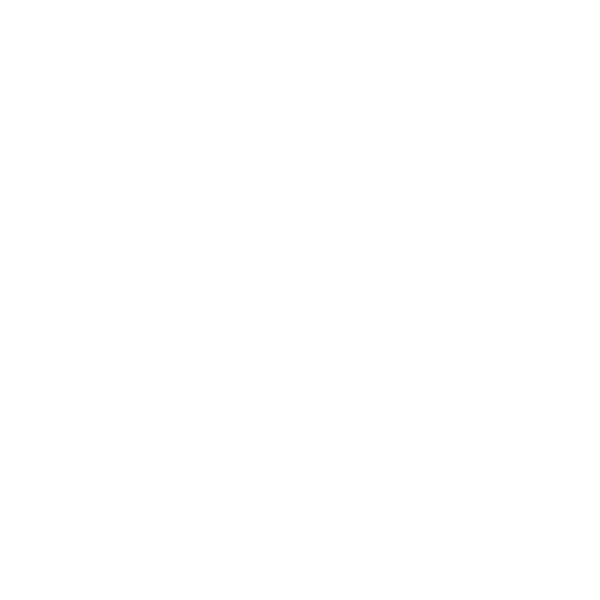 Icon1-1
