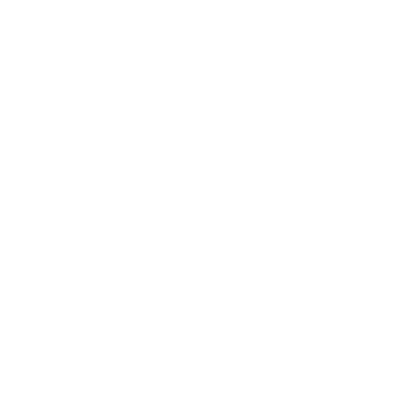 Icon4-1